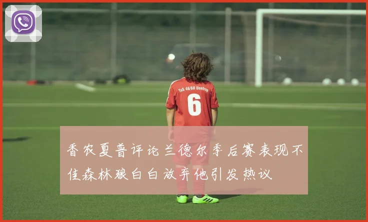 香农夏普评论兰德尔季后赛表现不佳森林狼白白放弃他引发热议